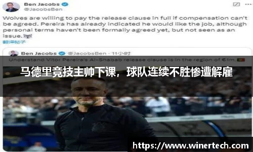 Bibo必博