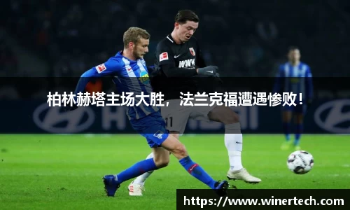 必博Bibo