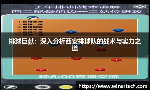 必博Bibo