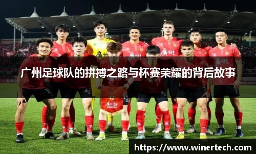 必博Bibo