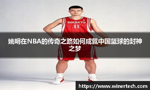Bibo必博