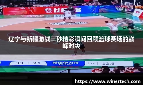 Bibo必博