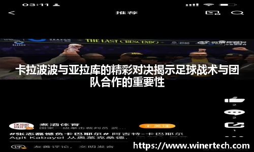 必博Bibo