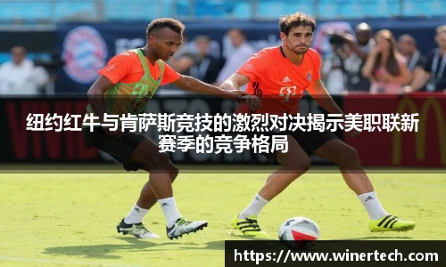 Bibo必博