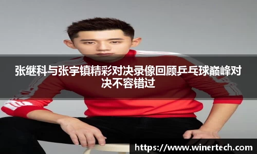 Bibo必博