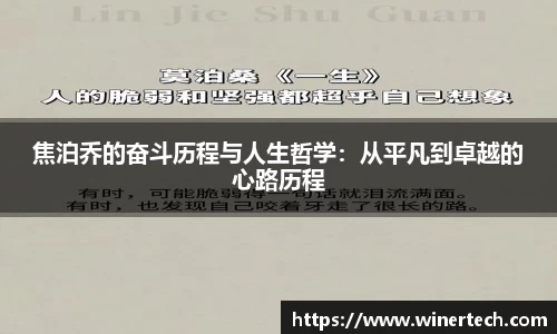 Bibo必博