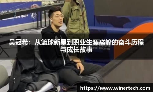 Bibo必博