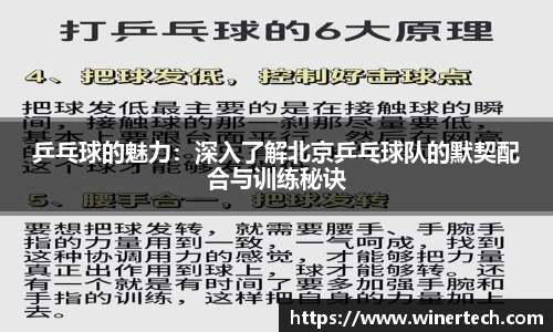 乒乓球的魅力：深入了解北京乒乓球队的默契配合与训练秘诀