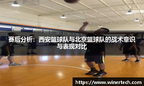 必博Bibo